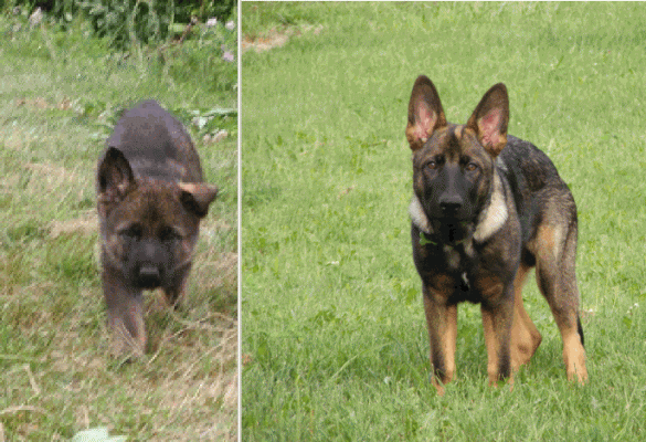 6 Weeks and again at 19 Weeks