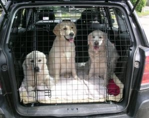 dog tailgate guards for sale