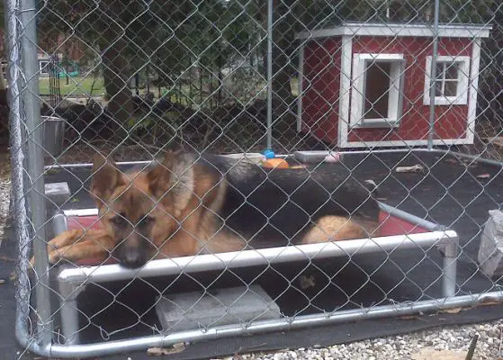 kuranda bed