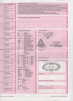 fci dog registration