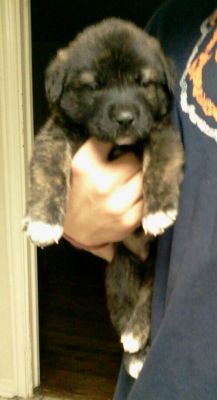 his first days with us