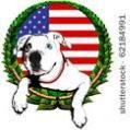 Aphrodities American Bulldogs