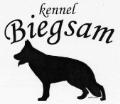 BIEGSAM