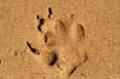 Footprints (admin)