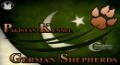 Ammad Cheema