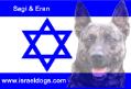 israeldogs