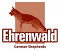 Ehrenwald