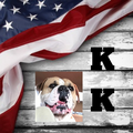 KuhlKountry American Bulldogs