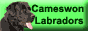 Cameswon