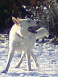 fred0191