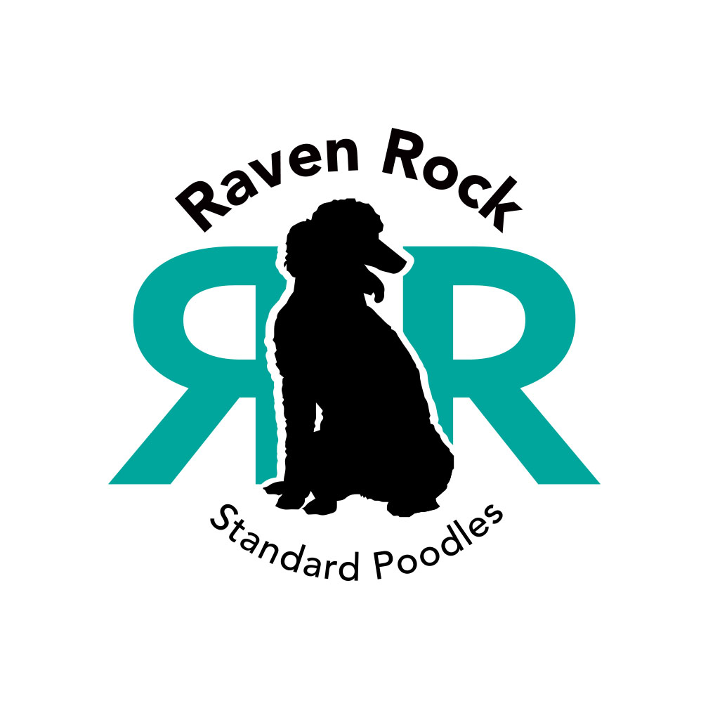 Raven Rock Standard Poodles