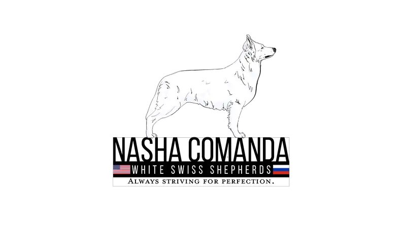 NASHA COMANDA