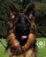 VA Yacco v. Eichenplatz daughter 18 months old