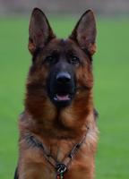 Legendary VA1 Usher Daughter "PREGNANT"