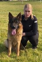 Top..Top male..Son of UVO VA4