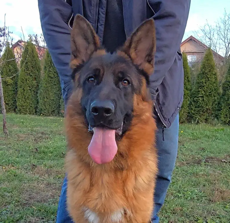 Black mask very nice male