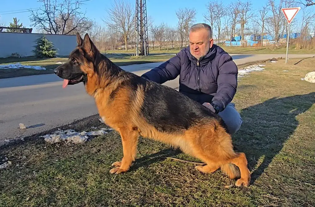 Young male red black super quality