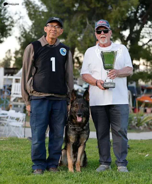 Max vom Tapferen Krieger 2026 USCA SW Regional IGP