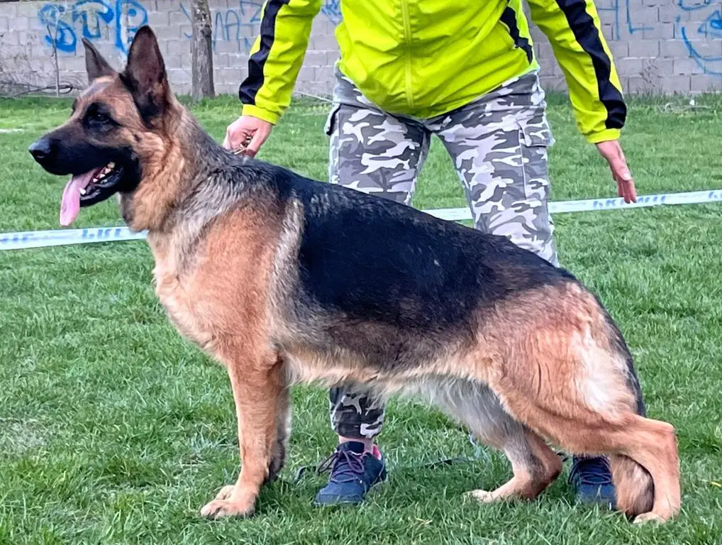 Pregnant with VA Grover