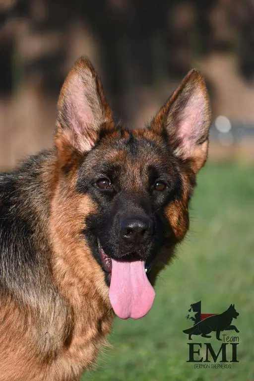 Daughter of the current world champ