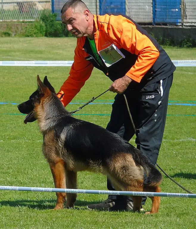 Valter von Rozzen 7 mons