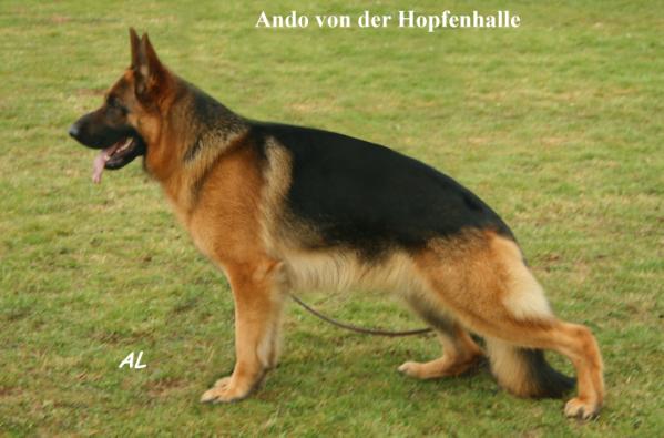 Va 4 Usca 2011 13 V Lgzs Ando Von Der Hopfenhalle