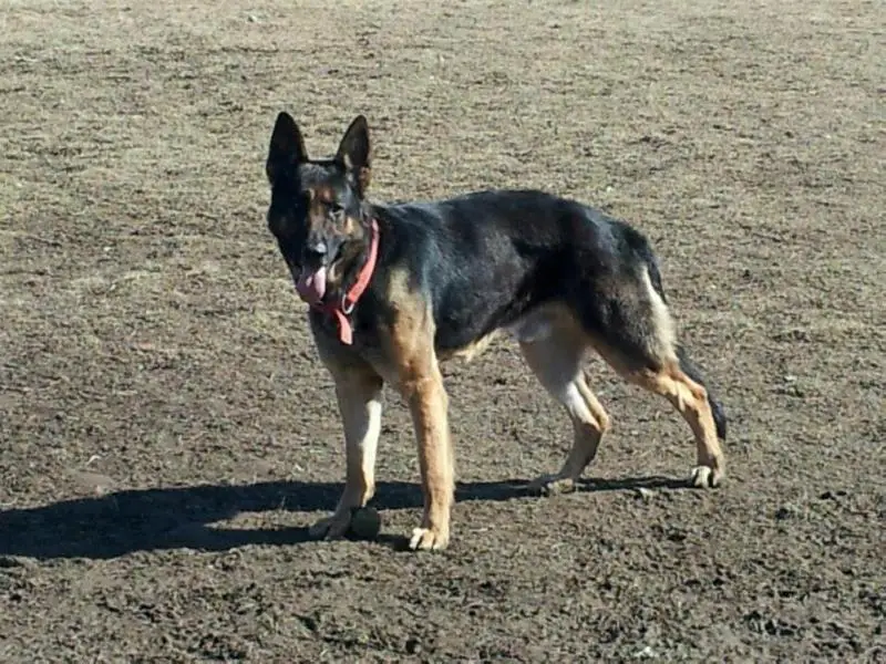 Frodyma�s Big Ben Roethlisberger