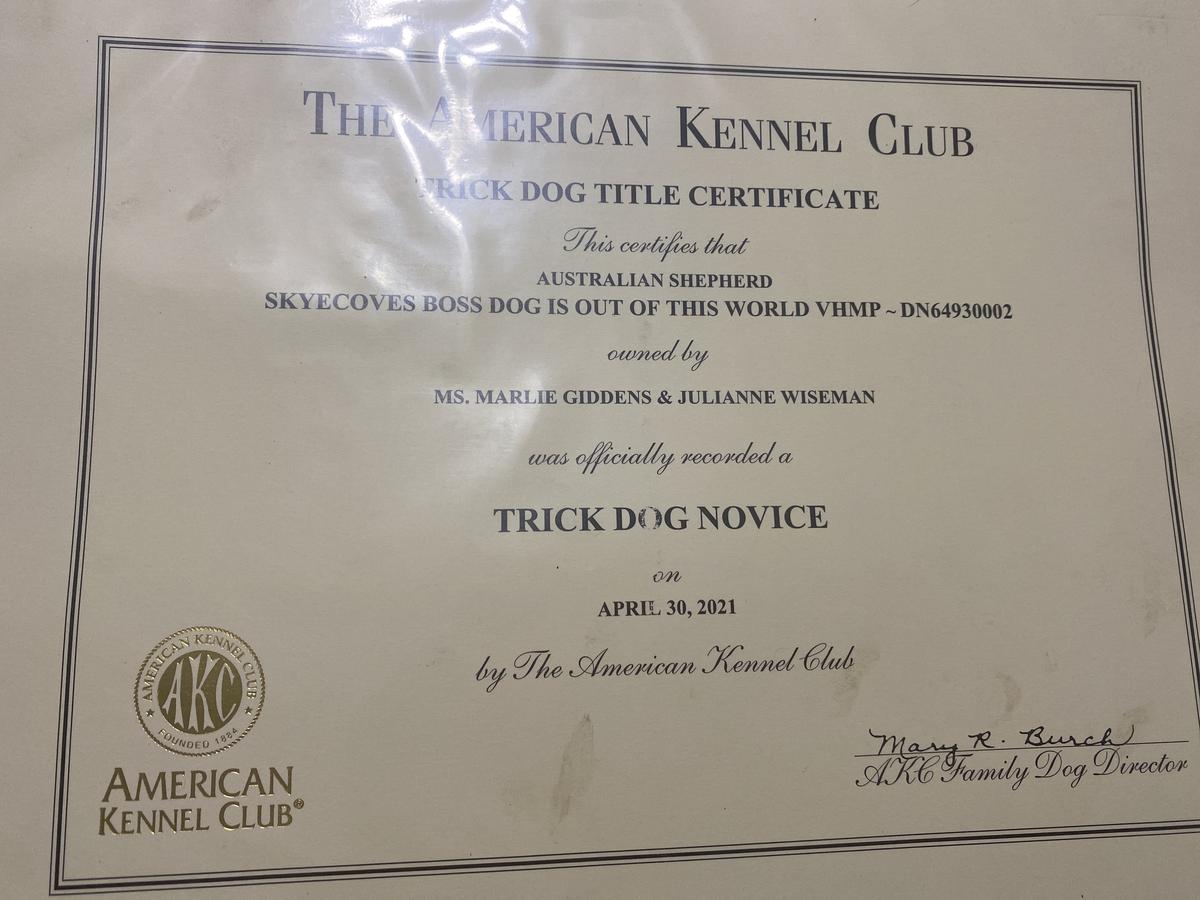 Akc clearance pedigree database