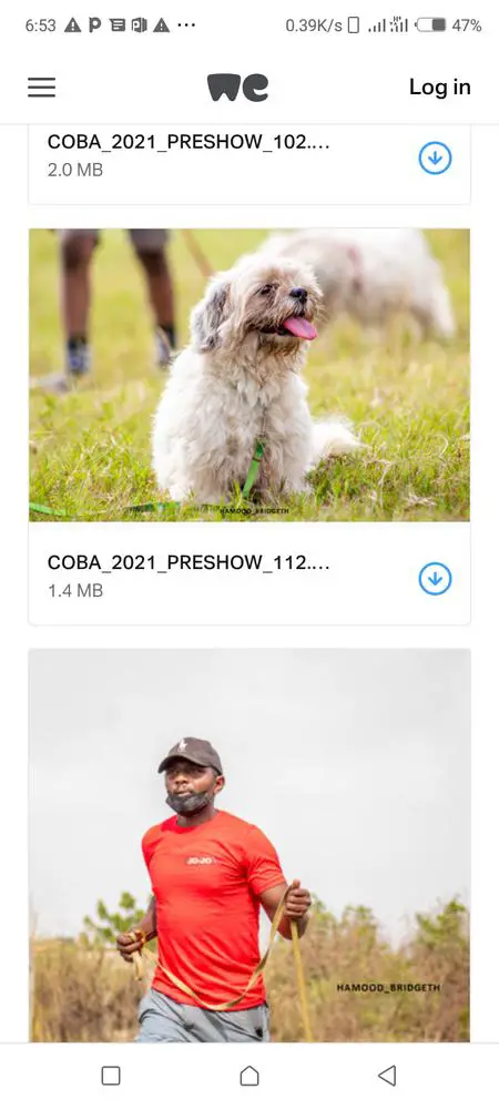Best rover eye catching deals headline