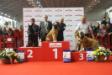 BRAGA INTERNATIONAL DOG SHOW 2013