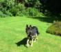 shadow 13 mts