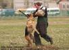 Elrin Bagota - Mutproba 29.04.2012 Kostroma