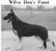 CH (US) Wilva Don's Faust 