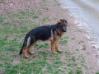 Karlo at home!