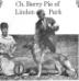 Berry Pie of Linden Park (August 25th 1968)