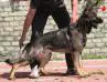 Ivan at 9 Months of Age
