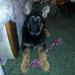 kodak at 4 months old