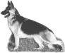 Covy-Tucker Hill's Natty Gann
