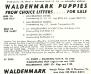 Harry von Bollscheid / Waldenmark Kennels (1963 Advertisement)
