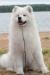 Smiling Snowball Moon Walk 