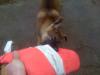 Gary playing