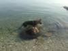 Gary on the sea