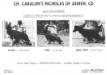 Caralon's Nicholas of Judeen