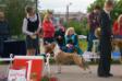 BOB, BIG, Best in Show!