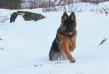 Gjósku Rosi-Loki in Iceland