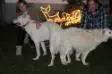 mating with Perro Blancos Candy Dez. 2014 
