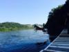 Dock Diving