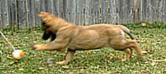 Ruger growing up pictures