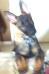 Ruger growing up pictures