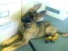 Ruger growing up pictures